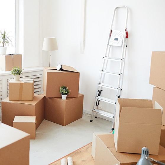 breite Kompetenzspektrum der